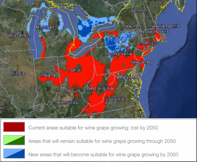 Study: VA & MD vineyards dead by 2050