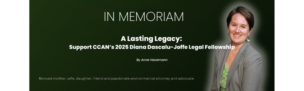 A Lasting Legacy Support CCAN’s 2025 Diana Dascalu-Joffe Legal Fellowship