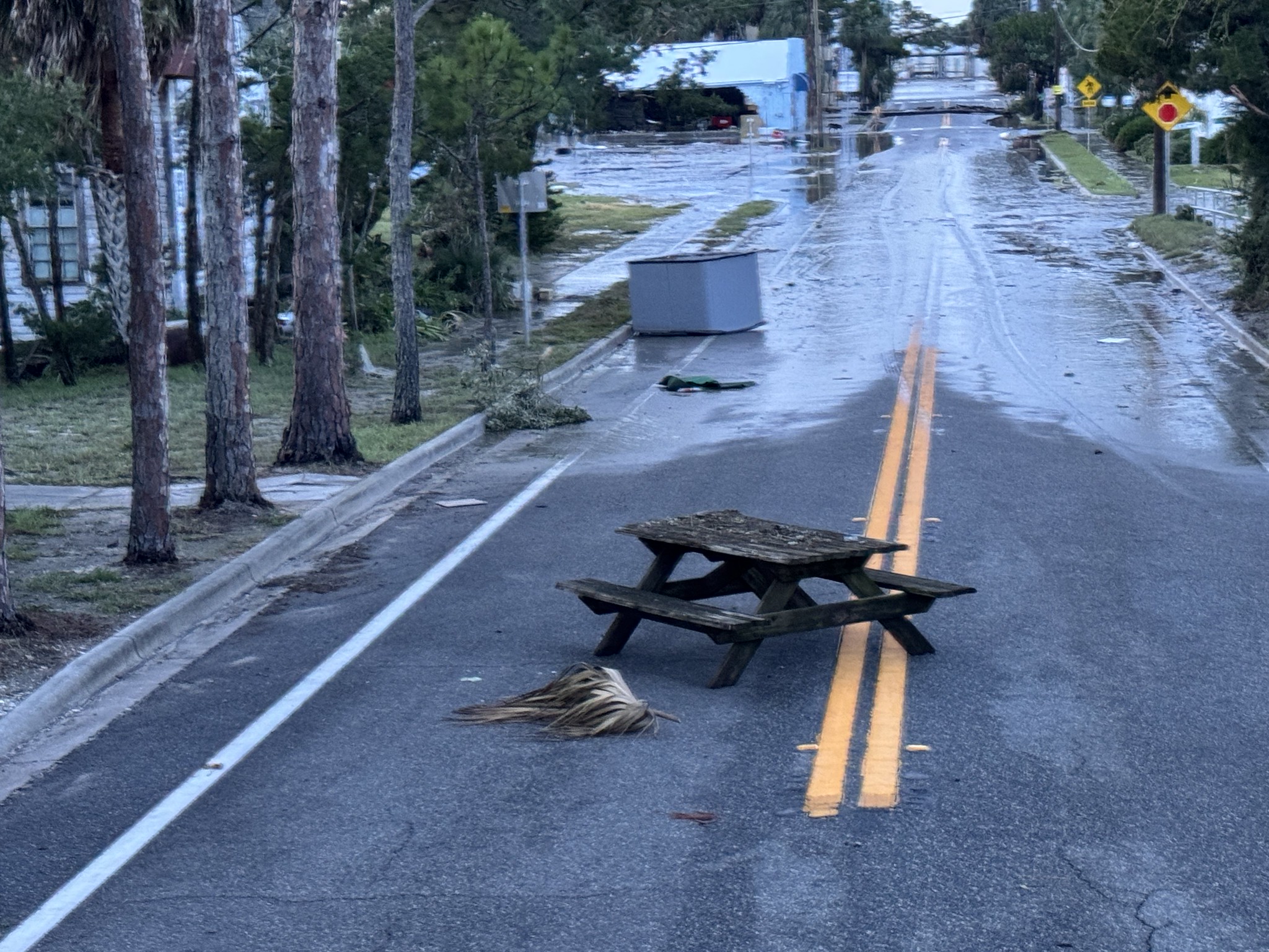 Hurricane Helene Mutual Aid Resources